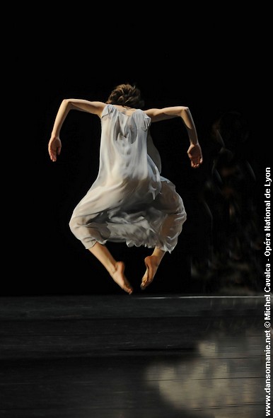 set and restet / reset trisha brown
