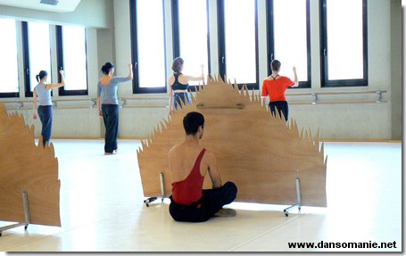 utilisation d'elements de decor repetition ballet biarriz