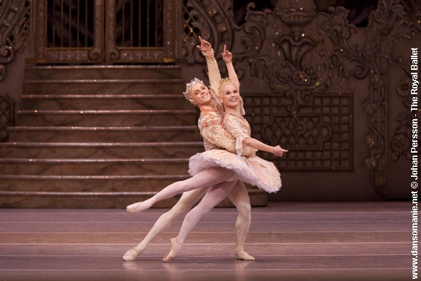 steven mcrae le prince miyako yoshida la fee dragée casse noisette