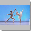 carte blanche agnes letestu poissy 25 01 2009