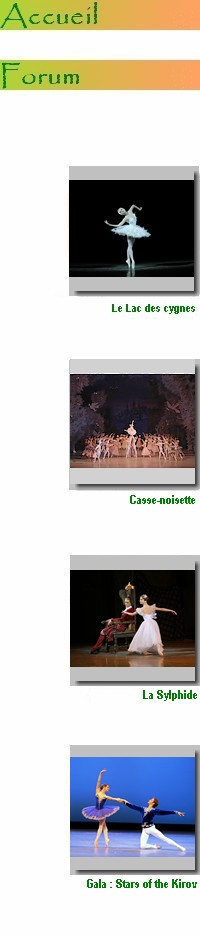 mariinsky baden baden 2009 menu principal